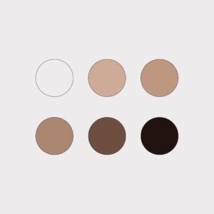 color palette