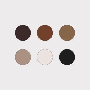 color palette
